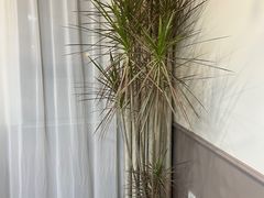 -汇盈·棋牌会所