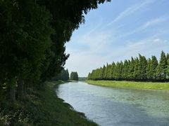 -五七小李子油焖大虾(总店)