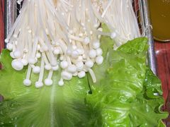 -沙胆彪炭炉牛杂煲(成都玉林店)