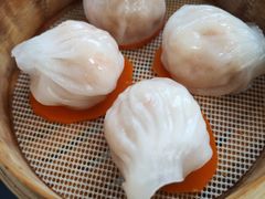 -瓦库茶馆17号(海汇港店)