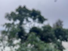 -鞠婆婆•绵绵冰•凉糕•手工冰粉(苏稽一店)