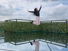 -黄海国家森林公园