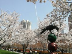 -静安雕塑公园