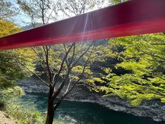 -岚山嵯峨野观光小火车