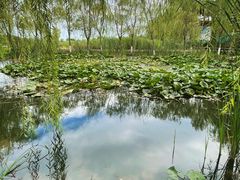 -永定河休闲森林公园