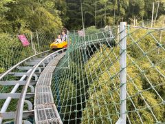 -藏龙百瀑风景区