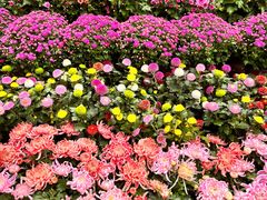 -昆明市金殿名胜区