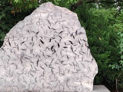 -府君山公园