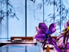 -松临·铁板烧&Omakase(神农店)