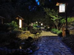 -明月山天沐温泉度假村