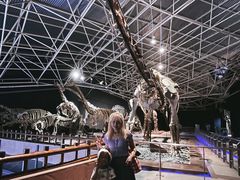 -世界恐龙谷景区