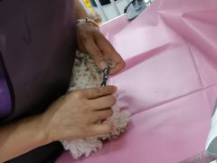 -北京观赏动物医院·24小时大型综合·猫专科·异宠专科