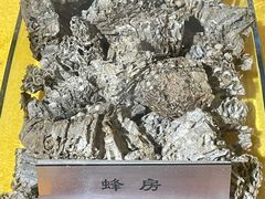 -上海昆虫博物馆