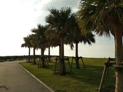 -濑长岛