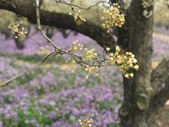 -江苏三台山国家森林公园