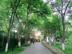 -丰台科技园生态主题公园
