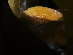 -广州富力君悦大酒店空中花园