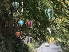 -西湖风景区-江洋畈生态公园