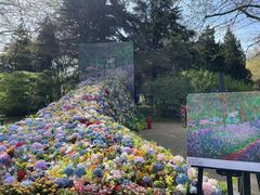 -上海共青森林公园