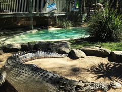 -费瑟代尔野生动物园