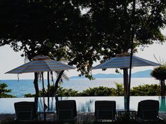 -卷心菜和避孕套餐厅(Pattaya)
