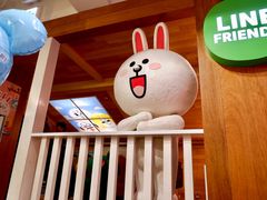 -line friends(明洞旗舰店)