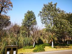 -洋湖国家湿地公园