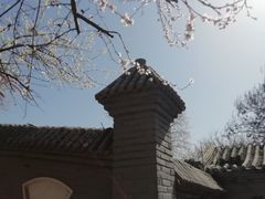 -桃花堤公园