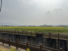 -光明小镇欢乐田园