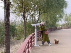 -绿堤公园