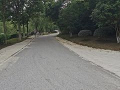 -金陵矩阵(聚宝山公园店)