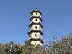 -江心屿景区