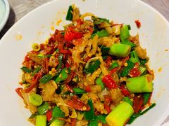 -壹盏灯(惠农店)