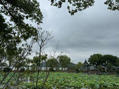 -无锡蠡湖国家湿地公园-蠡园