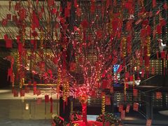 -舟山希尔顿酒店