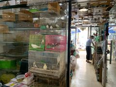 -苏州艺都古玩花鸟市场