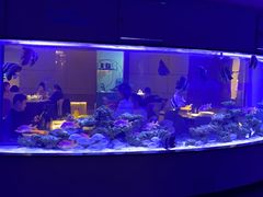 -上和臻品中国菜(花园街店)