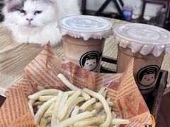-楼上猫咖(罗湖店)