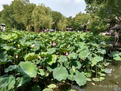 -龙隆昌·鲜品火锅·江湖烤鱼