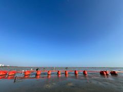 -北海金海湾红树林生态旅游区