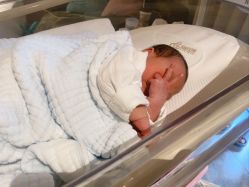 -禧月荟S月子中心(侨城店)