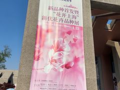 -上海植物园-4号门售票处