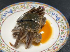 -新光酒家·河豚·海鲜·蟹料理(浦东店)