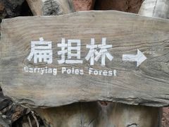 -五女峰国家森林公园