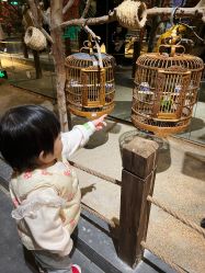 -酷嗒动物文化乐园(cutezoo西溪乐天城店)