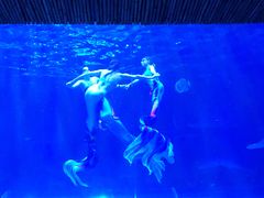 景点-华夏文旅西安度假区