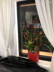-Garden花園造型