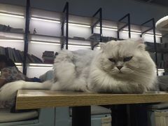 -小时光咖啡馆(开森度假森林店)