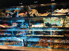 水产区-彩福皇宴(皇室堡店)
