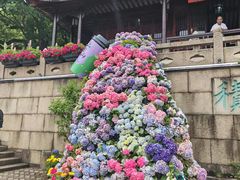 -苏州上方山国家森林公园